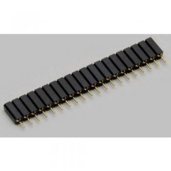 Barrette Femelle TC-2506458