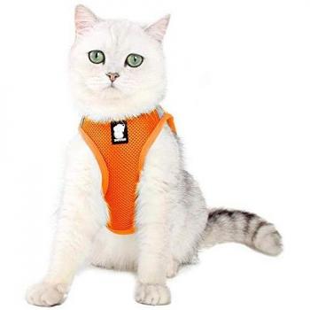 Dotoner Escape Proof Cat Harness