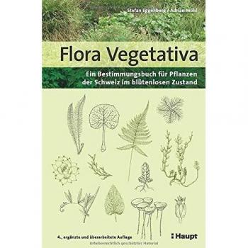 Flora Vegetativa