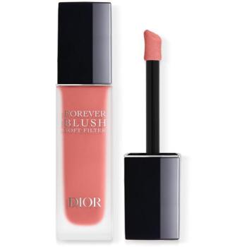 Fard à Joues Soft Filter Christian Dior