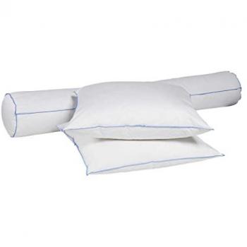 Set Oreiller et Traversin Duvet de Canard Someo 180