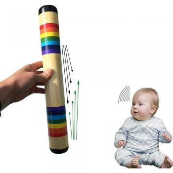 Early Education Sound Shaker