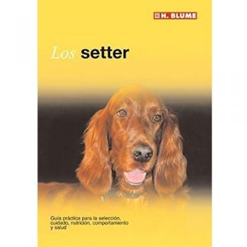 Setter