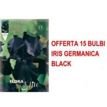 Offerta Speciale: 15 Bulbi Iris Nero