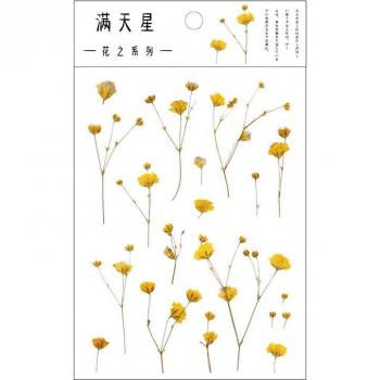Papier Scrapbook Floral PET