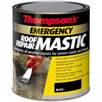 Thompson’s RapidRoof Repair Paste 750 ml