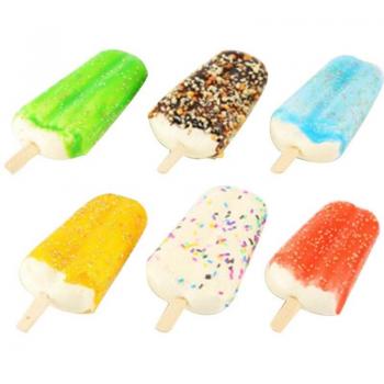 Clips Réfrigérateur 6‑PIèces Photo Dessert