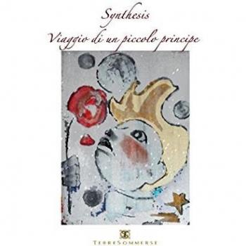 Viaggio di un piccolo principe. Synthesis. Con CD Audio