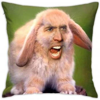 Housse d'oreiller Nicolas Cage 18 x 18