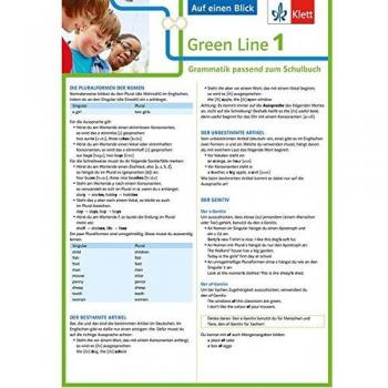 Green Line 1 G8 und G9 Klasse 5