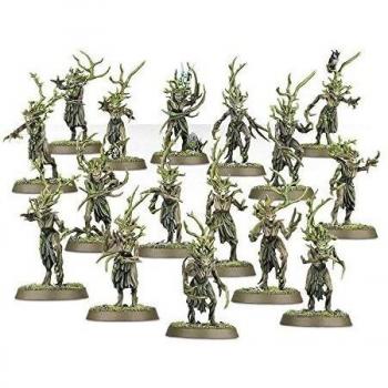 Start Collecting! Sylvaneth Collection Box