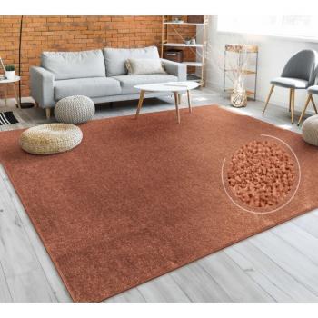 Tapis de Salon Uni Cuivre 200x280 – Paco Home