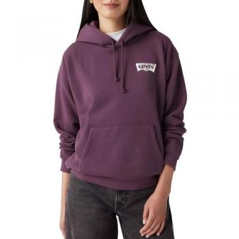 Levi's® Hoodie GRAPHIC EVERYDAY HOODIE mit Kapuze