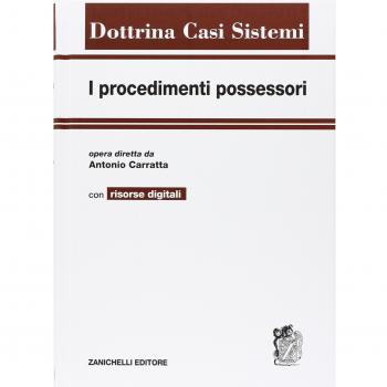 I procedimenti possessori