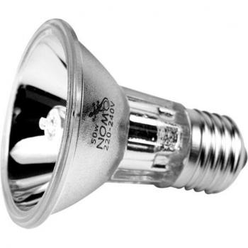 Ampoule UV 25/50W pour lézards et amphibiens