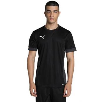 Puma TeamGOAL Matchday Shirt Heren Rood