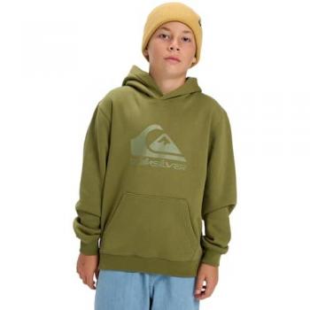 Felpa Quiksilver Comp Logo Kids Verde 14 anni