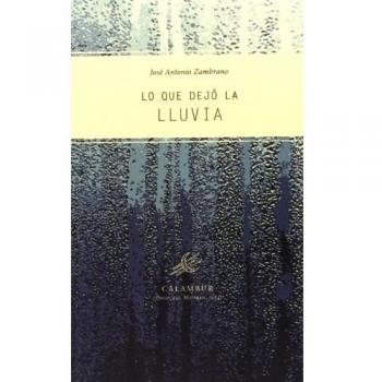 Lo que dejo la lluvia (Tapa blanda).