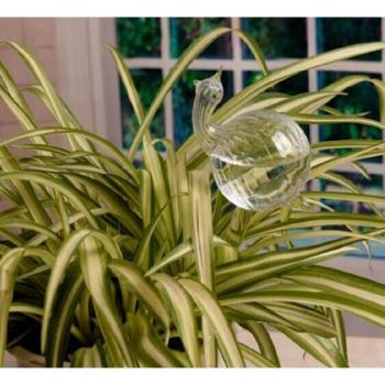 Kits d'arrosage pour plantes en verre, 1 pièce, fleurs, 6 formes