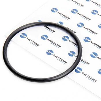 Dr. Motor Fuel Filter DRM053