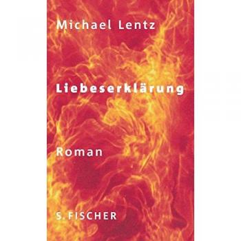 Michael Lentz Liebeserklärung: Roman