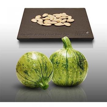 Courgette Ronde de Nice