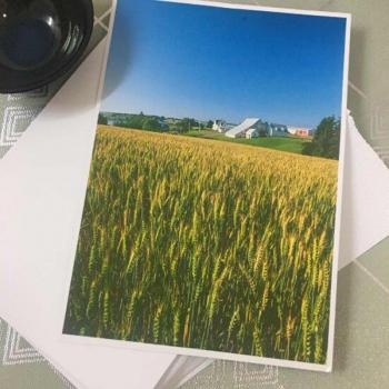 10pcs A4 Waterproof High Gloss Inkjet Photo Paper