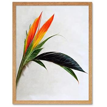 Bird of Paradise Floral Poster