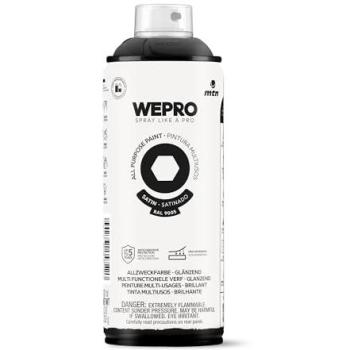 Colores WPRO RAL 9005 Negro Cosmos Satinado – 400 ml