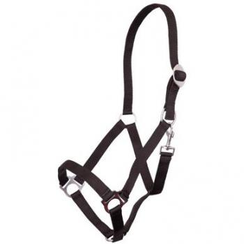 Halfter für Equitation von Premiere