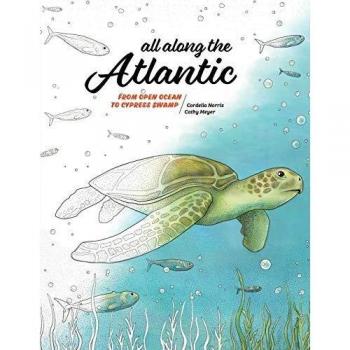 All Along the Atlantic: From Open Ocean to Cypress Swamp