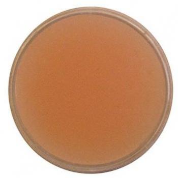 Eulenspiegel Effektwachs farbneutral – 3,5 ml in Tray