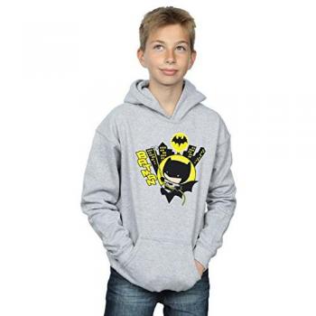 DC Kids Gray Swivel Sweatshirt