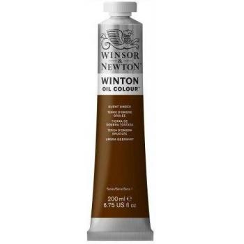Künstlerfarbe Winton 200ml Umbra von Winsor & Newton