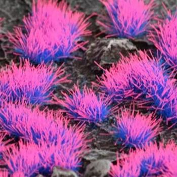 Touffes Gamer Grass Alien Luminescentes
