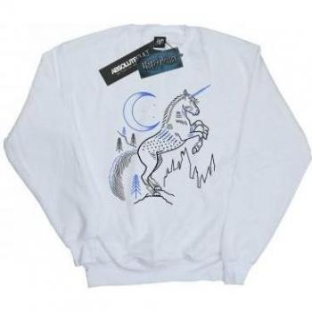 Jersey de bruja Harry Potter BI20581