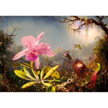 Puzzle Martin Johnson Heade
