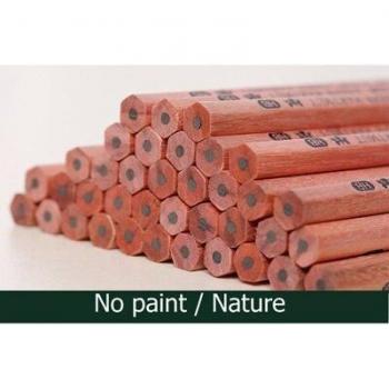 Sketching Pencils HB 2B, Wood-Cased, 10 PCS, Non-Toxic, Black Core