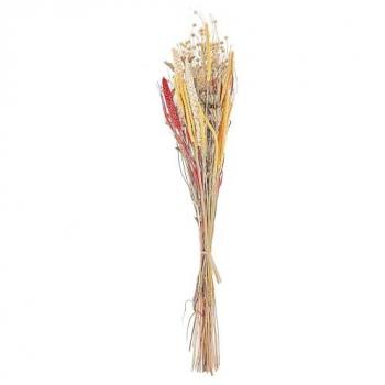 Bouquet de Fleurs Séchées et Préservées – 65 cm, Palette Rouge‑Jaune Pampeluna