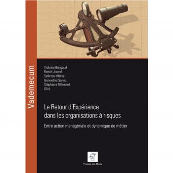 Le Retour d'Expérience dans les organisations à risques