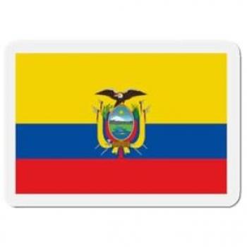 Synthetic Resin 8 cm Equator Flag Magnetic Pack – 50 Pieces, Color Mix