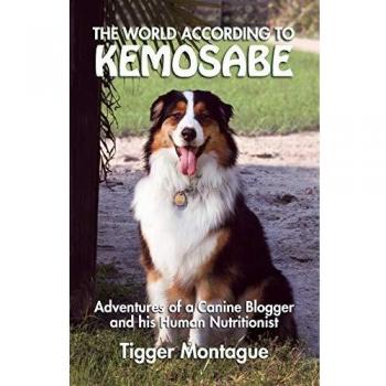The world according to kemosabe paperback