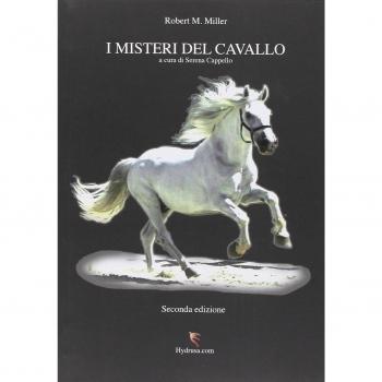 I misteri del cavallo