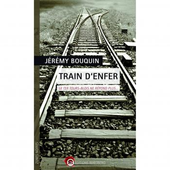 Train d'enfer: Le TER Tours-Blois ne répond plus...