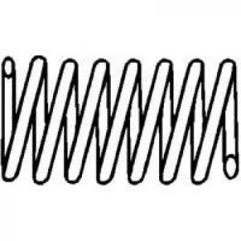 251-007 Exhaust Pipe Spring