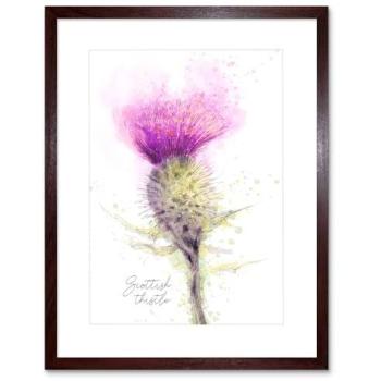 Scotland’s National Flower: Thistle Watercolor Picture, Brown Frame