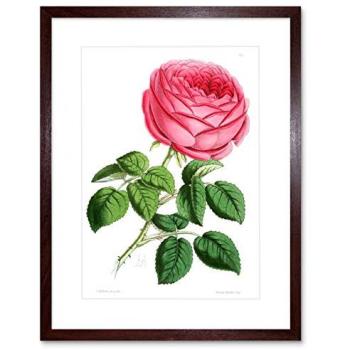 Blooming Beauty – 9”x7” Brown‑Frame Red Rose Painting