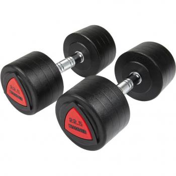 22.5kg Dumbbell Set (2 Units)