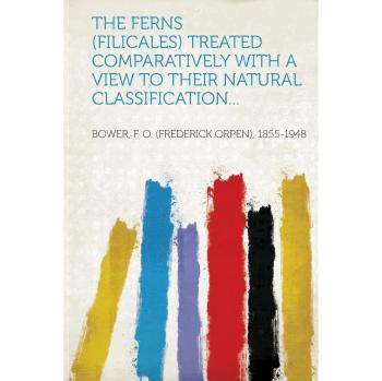 Ferns
