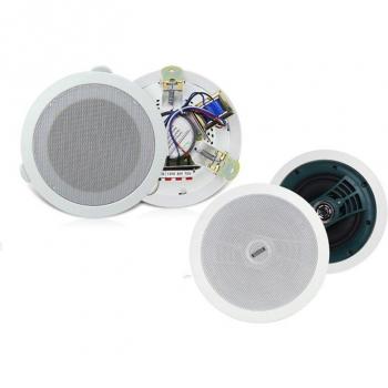 ByJoTeCH Ceiling Speaker for Home Theater
